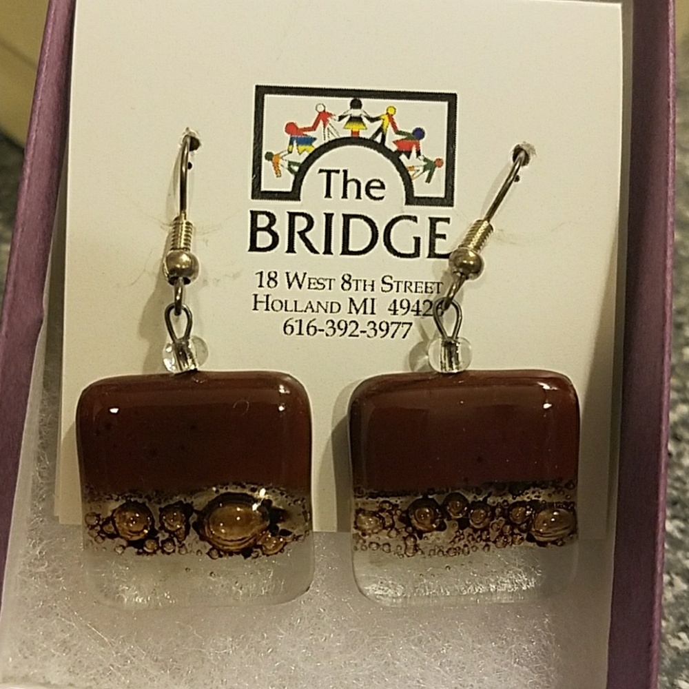 🔷️5/$25🔷️ NWOT Unique Earrings from Holland, MI